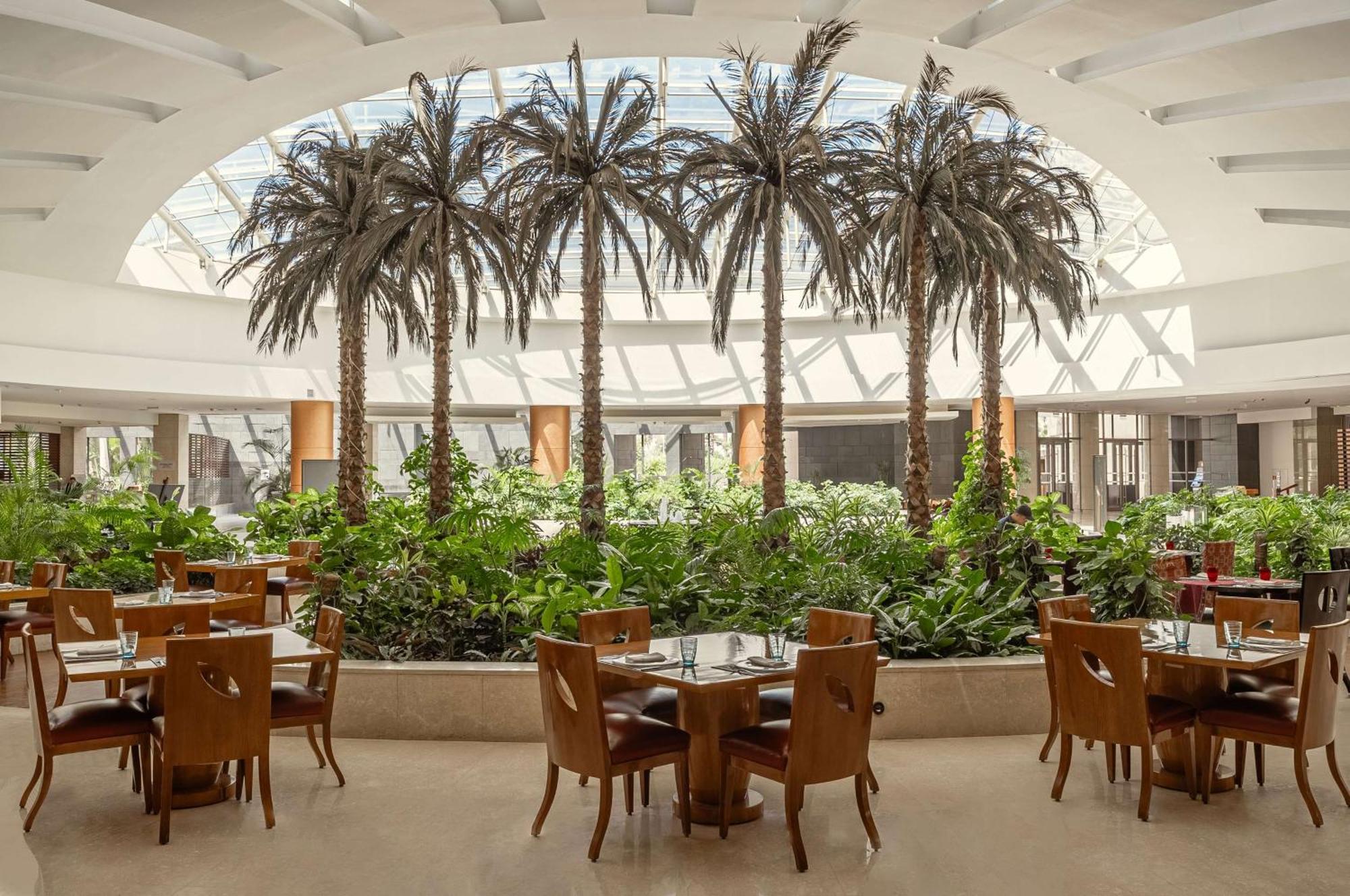 ฮิลตัน ไคโร เฮลิโอโปลิส Hotel ภายนอก รูปภาพ The Palm Court